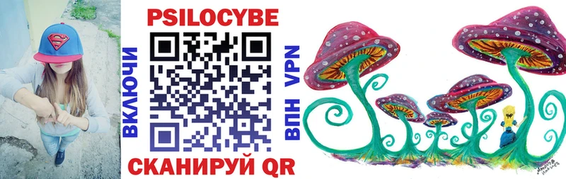 Псилоцибиновые грибы ЛСД  Купить  Куровское 