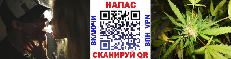 Канабис OG Kush  Купить где  Куровское 